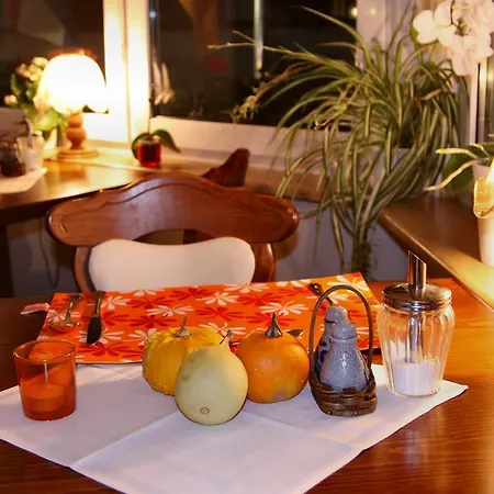 Penzion Gasthof-pension Hunaustuben Schmallenberg